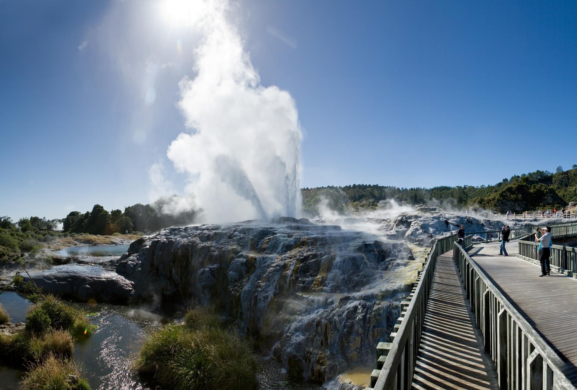 Te Puia Geyser